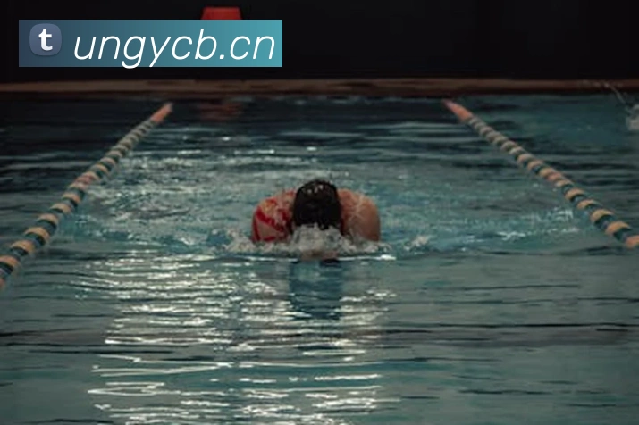 完美体育首页官网平台生态图