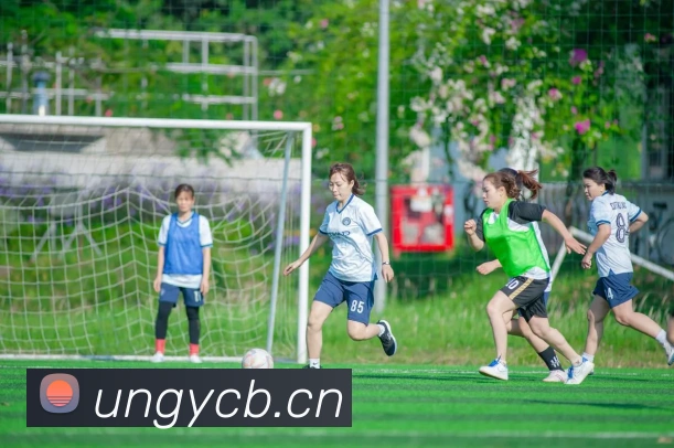 完美体育首页官网APP 封面图